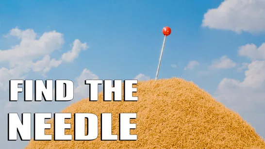 Play Find the Needle game