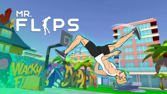 Mr Flip image