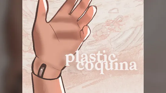Play Plastic Coquina game