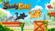 Shady Cats
