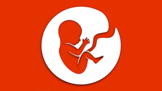 Play SimLife game