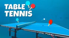 Table Tennis Game