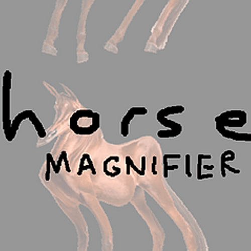 Play Horse Magnifier