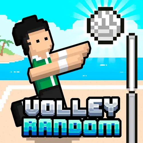 Play Volleyball Random
